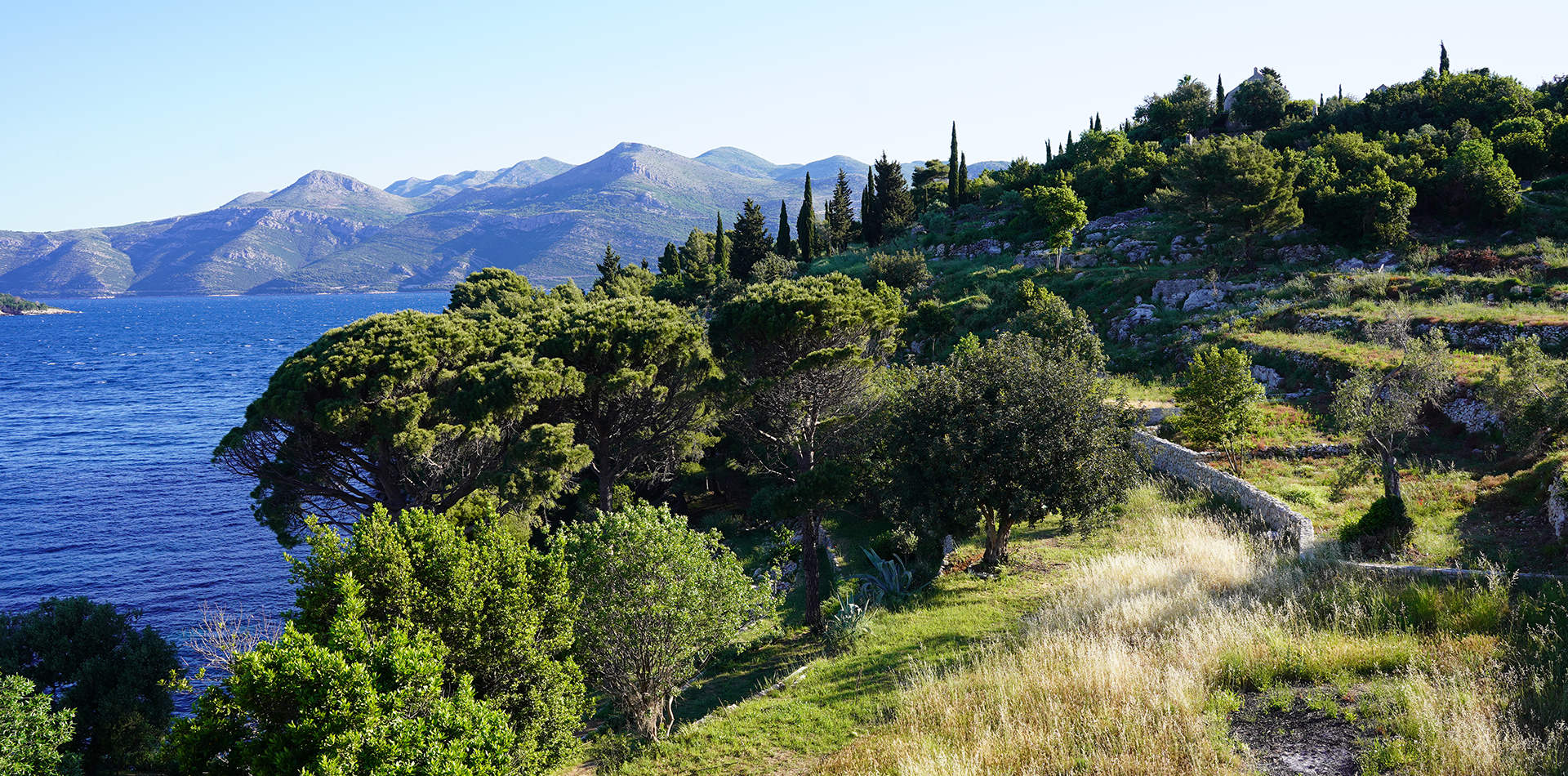Lush green foliage along a rocky shoreline, with serene blue water reflecting the mountains in the background. Cypress trees rise above the landscape, creating a picturesque view of nature and tranquility.