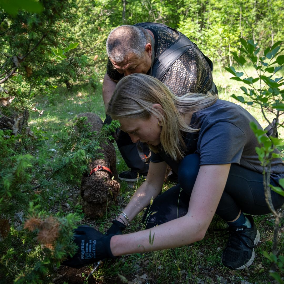 A man and a woman crouch near a bush in a forested area, focused on digging in the ground. A dog stands nearby, watching them. The scene is lush with greenery under natural sunlight.