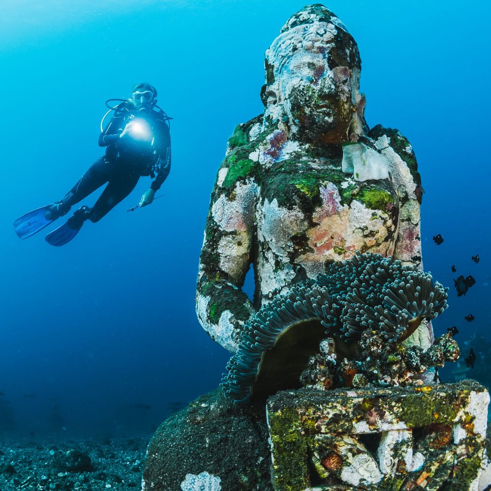 A diver explores an underwater statue covered in coral and marine life, with a soft blue backdrop of the ocean.
