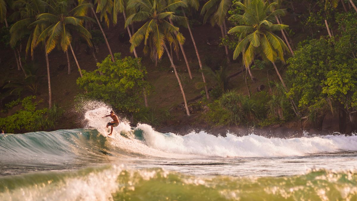 A surfer rides a wave under a sunlit sky, surrounded by lush green palm trees on a tropical shore. Waves crash around them, creating a spray of water.