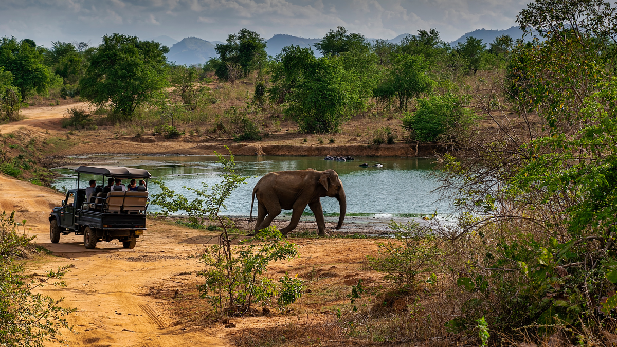 A safari vehicle with passengers watches as an elephant walks along the edge of a tranquil water body surrounded by lush greenery and distant hills.
