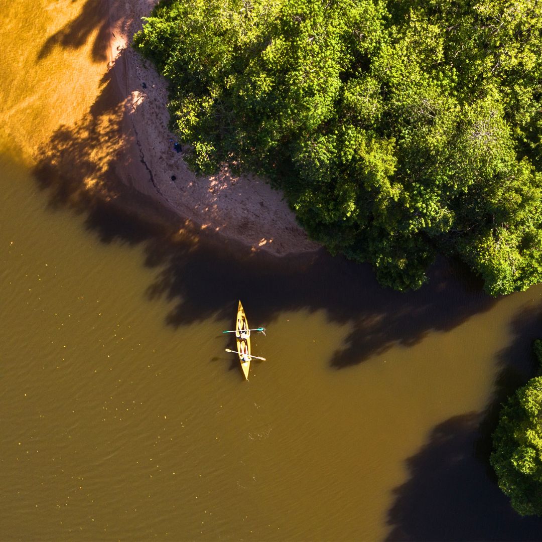 A kayak glides through the still waters of a river, bordered by lush greenery and a sandy shore. The aerial view captures the serene natural setting.