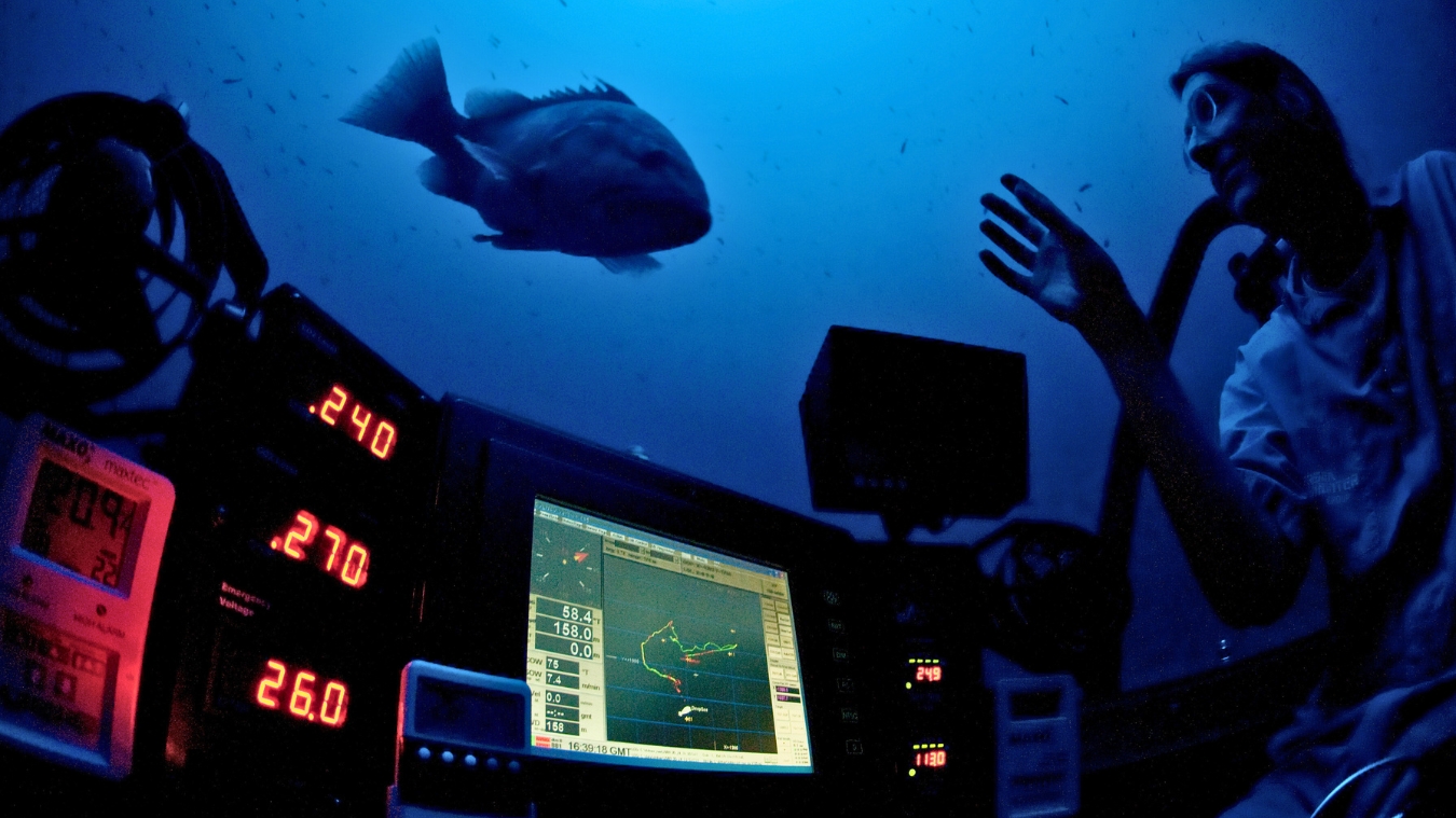 A diver inside a submersible cockpit interacts with marine life, including a large fish swimming nearby. The dashboard displays various gauges and a digital map of the underwater environment, illuminated in blue light.