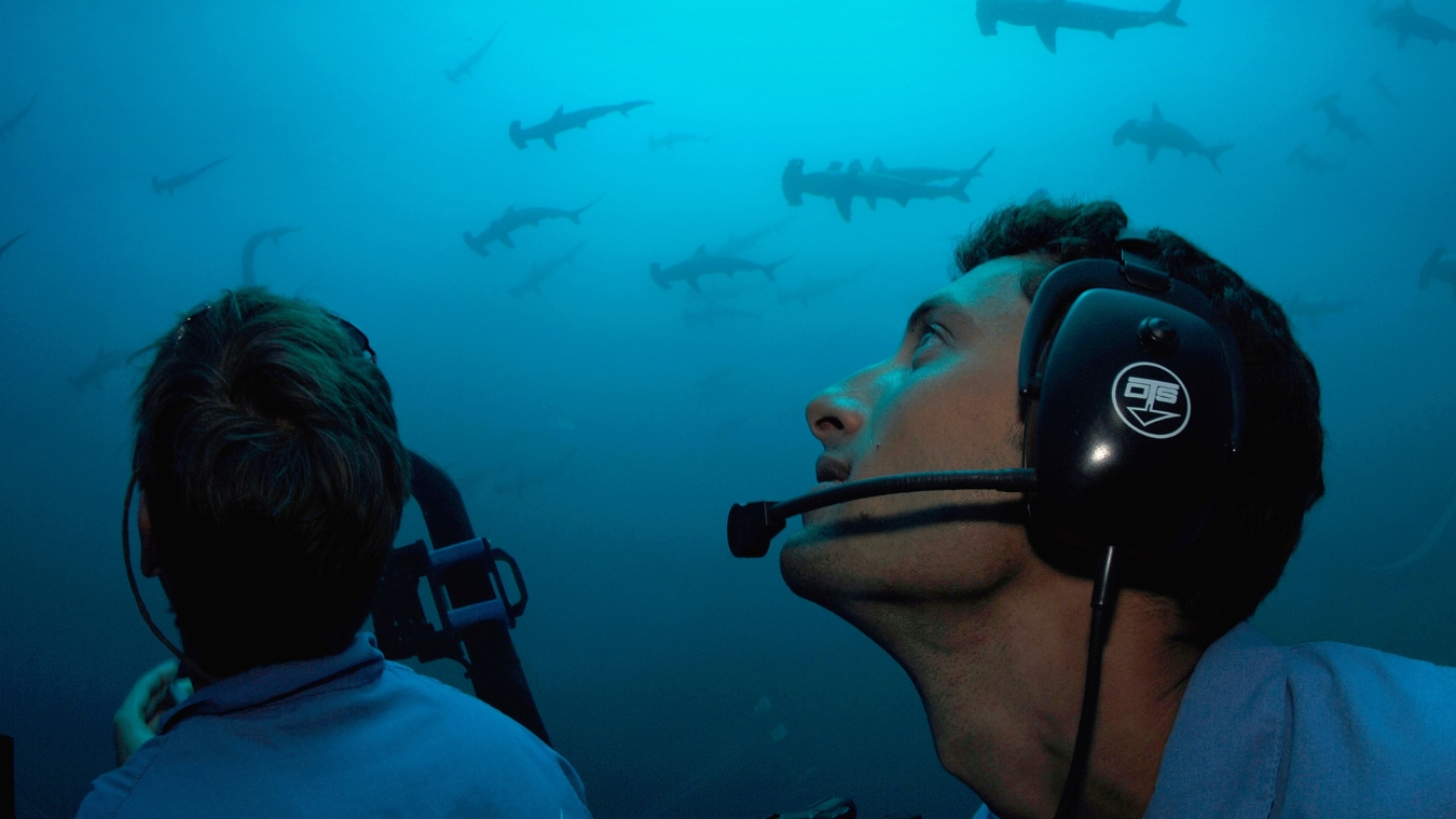 Two divers, wearing headsets, look up in a deep blue ocean filled with swimming hammerhead sharks.