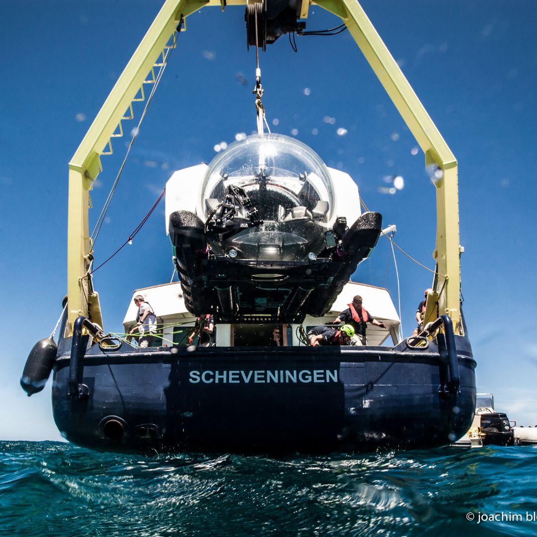 A submersible is being lowered into clear blue water from a research vessel named Scheveningen. Crew members can be seen preparing for the dive, with a bright sky overhead.