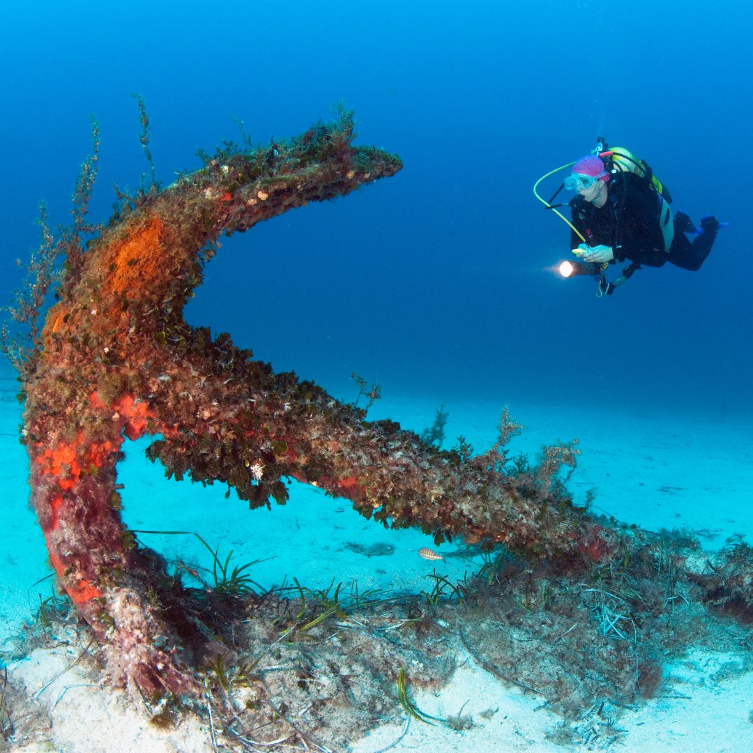 A scuba diver explores a colorful shipwreck structure covered in marine growth, surrounded by sandy ocean floor and clear blue water.