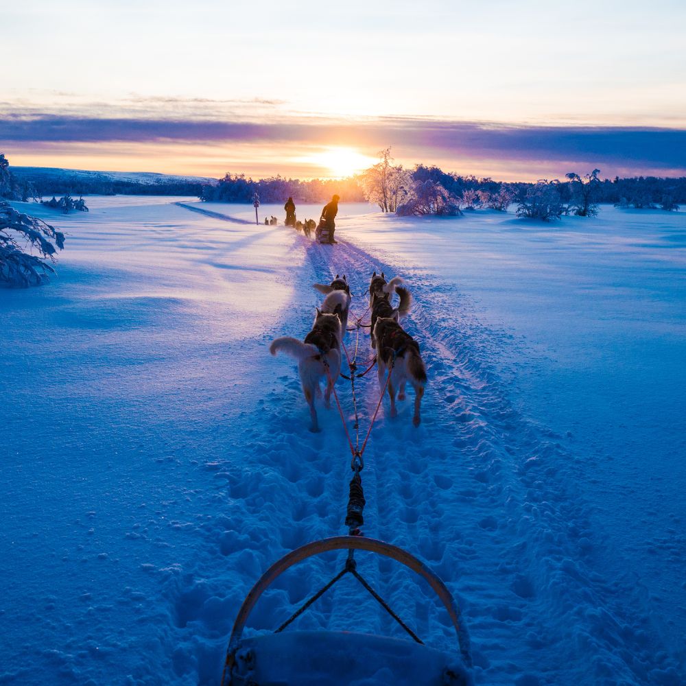 A team of sled dogs pulls a sled through a snowy landscape at sunrise. The horizon glows with hues of orange and pink, while trees are coated in frost. Silhouetted figures walk alongside, creating a serene winter scene.
