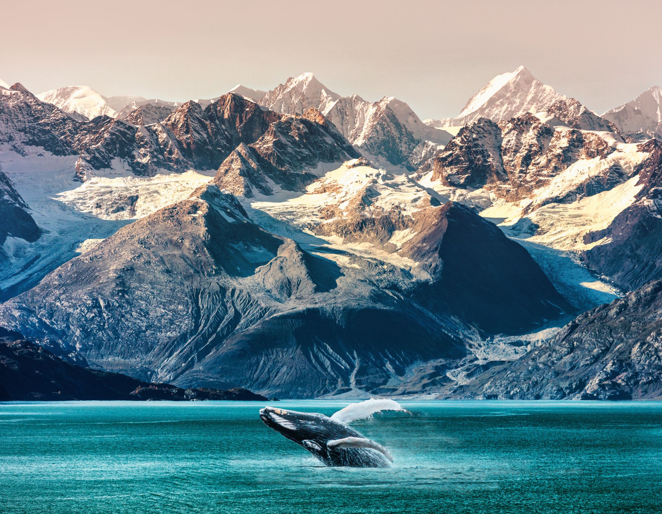 A whale breaches the surface of a turquoise lake surrounded by majestic snow-capped mountains and rugged peaks.