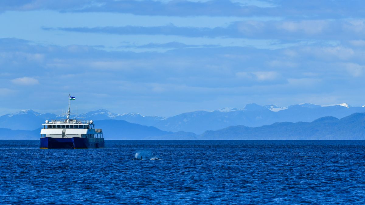 A ferry travels across calm blue waters with snow-capped mountains in the background. A small splash can be seen in the water, suggesting marine life nearby.