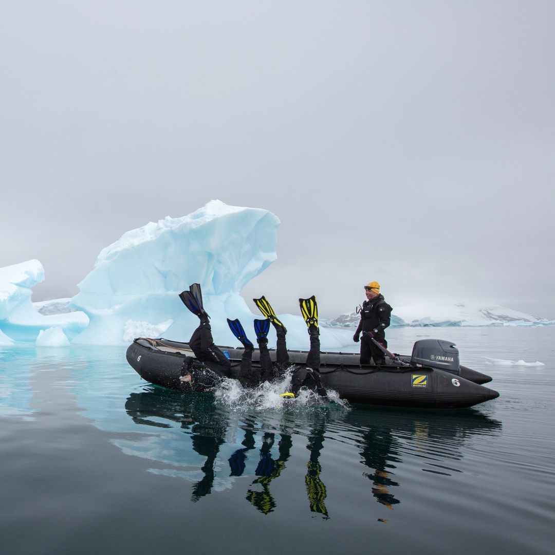 A small black boat with a motor floats in calm water near an ice iceberg, while three people in wetsuits with fins dive into the water. A fourth person stands on the boat, watching. The scene is overcast and icy.