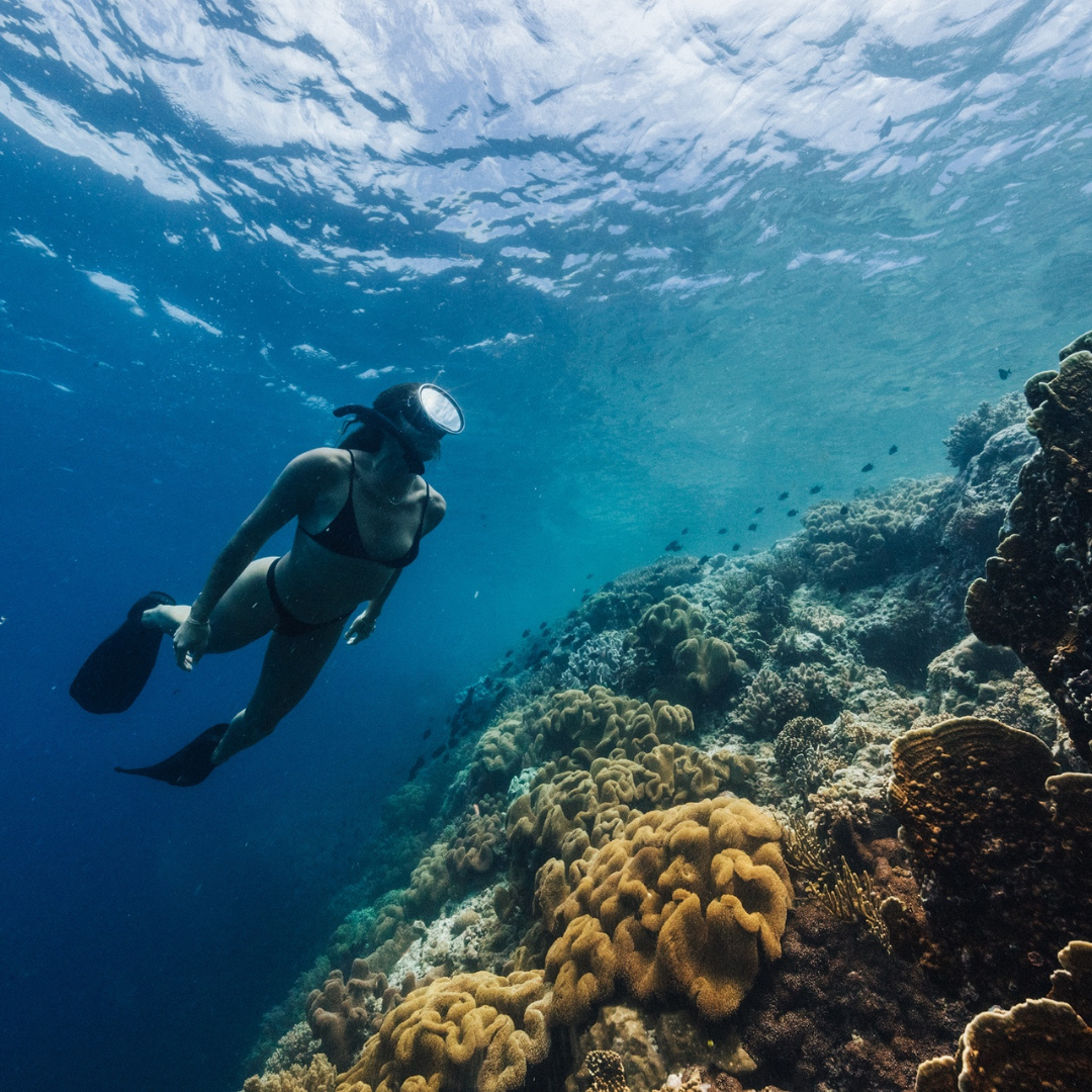 scuba diving indonesia