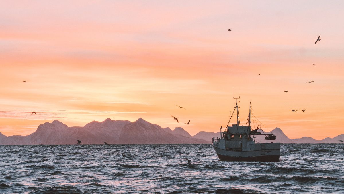 A fishing boat floats on calm waters at sunset, surrounded by mountains in the distance and birds soaring in the sky. The scene is bathed in warm hues of orange and pink.