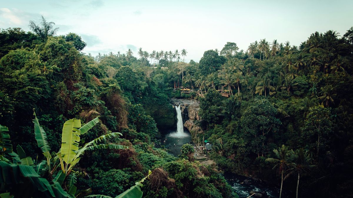 A lush green landscape featuring a waterfall cascading down into a rocky pool, surrounded by dense tropical vegetation and palm trees. The scene is set in a serene valley under a light blue sky.