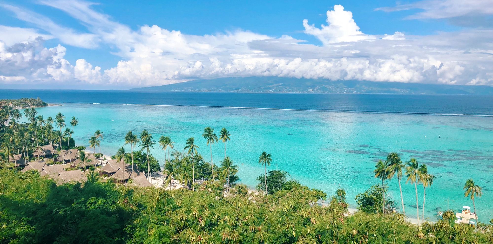 A stunning view of a tropical beach with clear turquoise waters, palm trees lining the shore, and lush greenery. In the distance, a mountainous island is visible under a bright blue sky with fluffy white clouds.