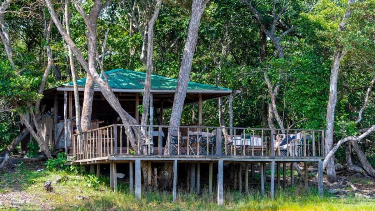 A wooden cabin on stilts surrounded by trees, featuring a green metal roof and a spacious deck with outdoor seating. Lush greenery and wildlife ambiance enhance the natural setting.