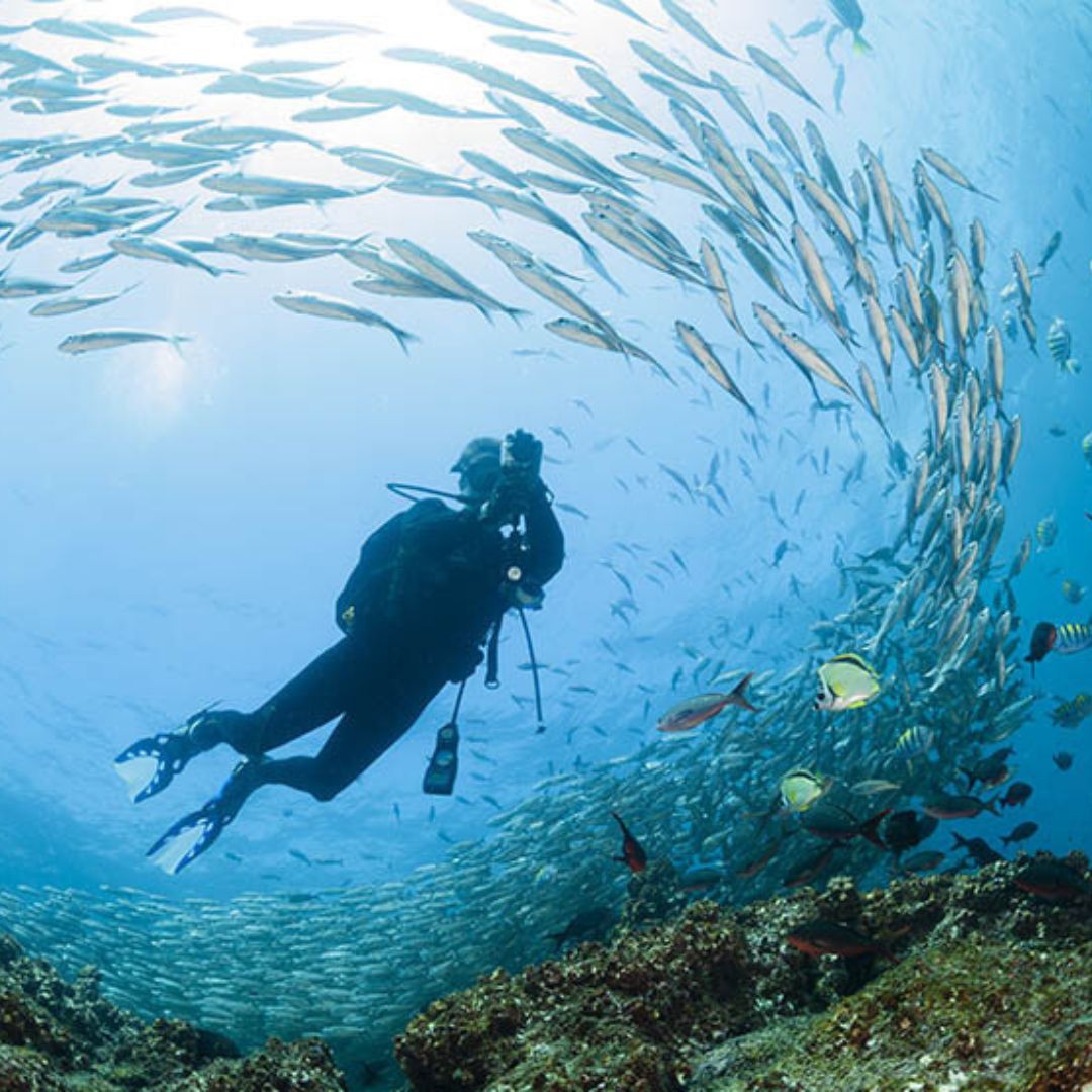 Diver surrounded by schooling fish in Galápagos waters, immersive luxury marine adventure.