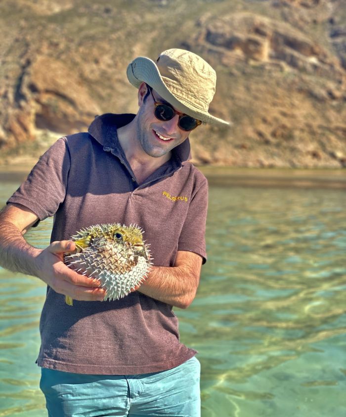 A man wearing a hat and sunglasses holds a pufferfish in shallow water, with a rocky shoreline in the background.