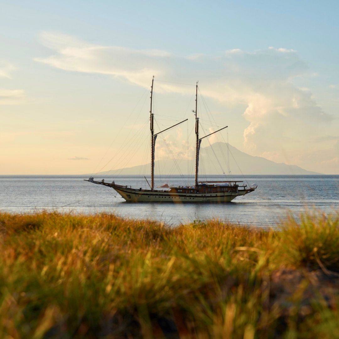 A tall ship with two masts sails across calm waters, with a distant mountain backdrop and soft clouds in the sky. Grass in the foreground adds a natural frame to the scene.