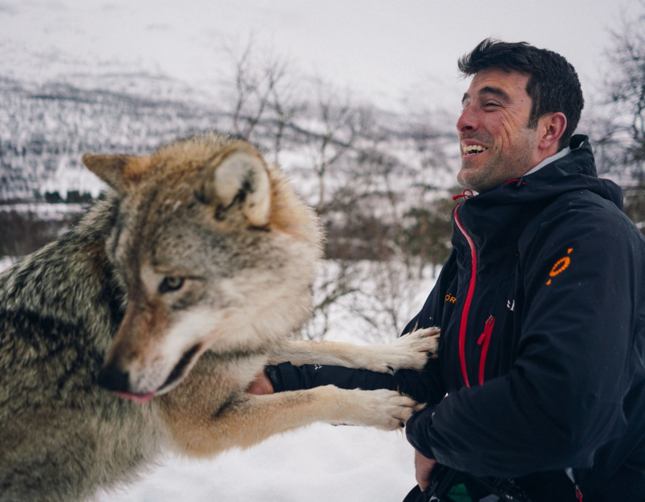 A man smiles joyfully while interacting with a wolf in a snowy landscape. Trees and mountains are visible in the background.