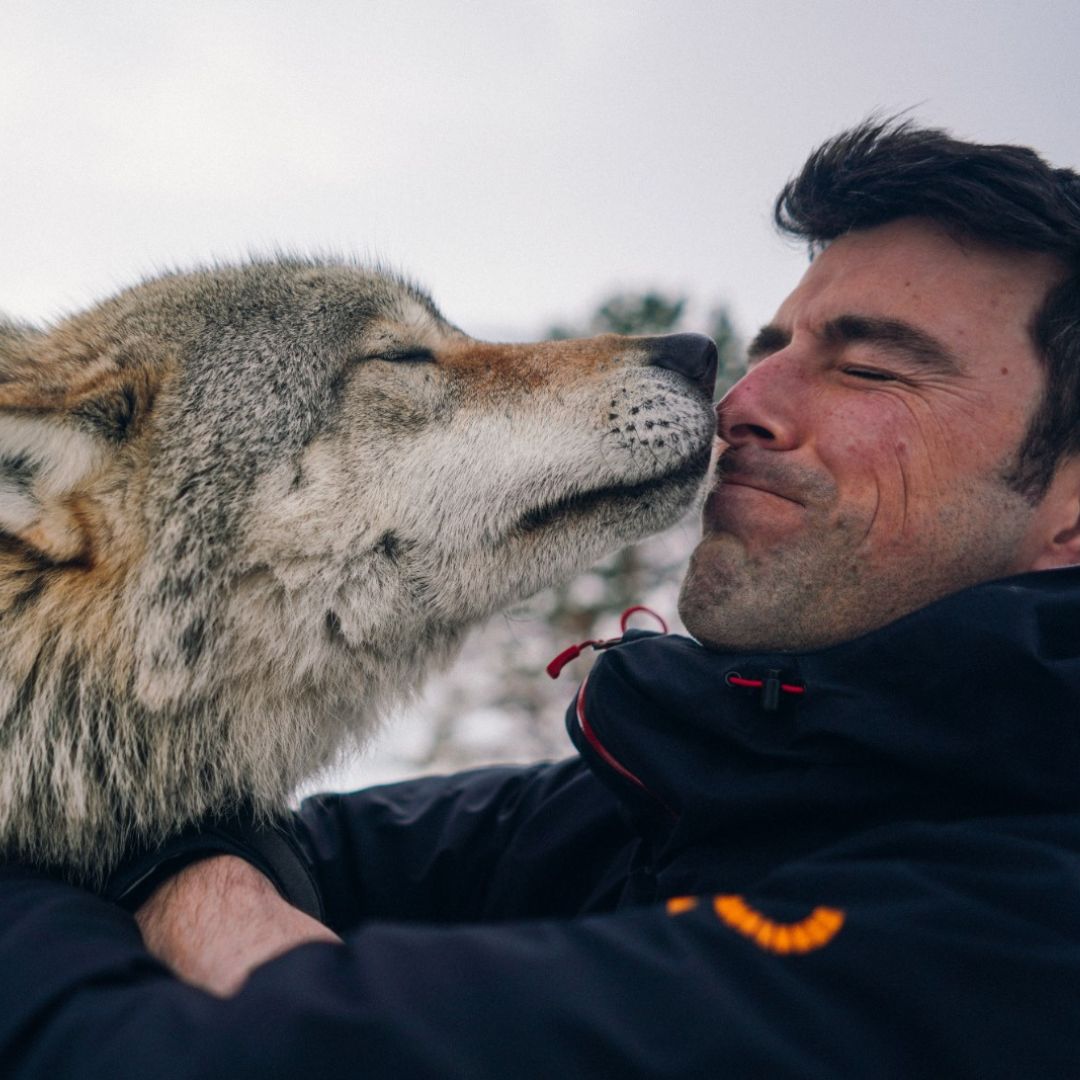 A man gently leans in to touch his nose to that of a grey wolf, both expressing a sense of connection and affection. The setting appears serene and natural, with a hint of wildlife interaction.