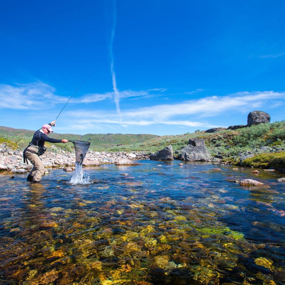 A person stands in a clear stream, using a net to catch fish. The water is sparkling with colorful stones beneath the surface, surrounded by lush greenery and a bright blue sky.