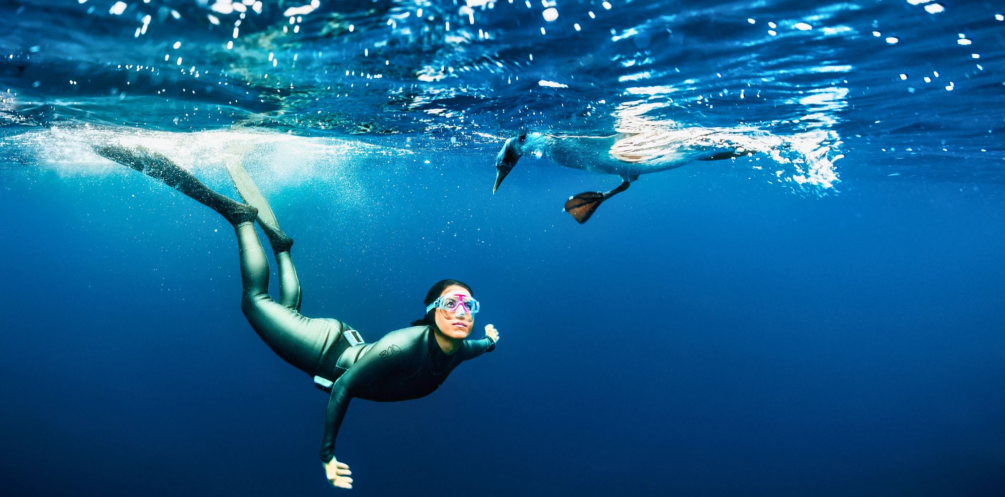 A diver in a wetsuit swims underwater, reaching out toward a seabird gliding just above the surface, surrounded by deep blue water.