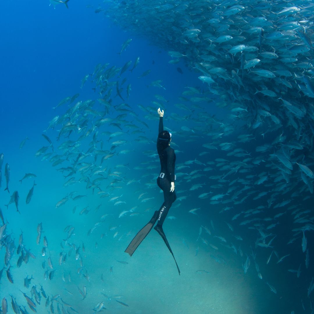 A diver in a wetsuit floats underwater, reaching upwards amidst a swirling school of fish surrounding them. Clear blue water forms the backdrop.