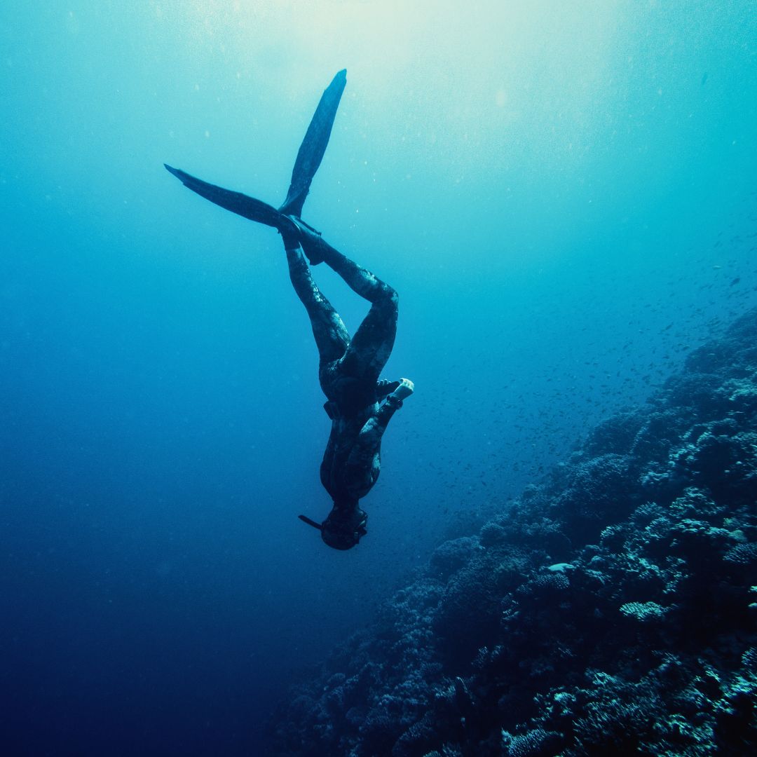 A diver swimming downwards in deep blue water, surrounded by coral formations and small fish. Sunlight filters through the water, creating a serene underwater scene.