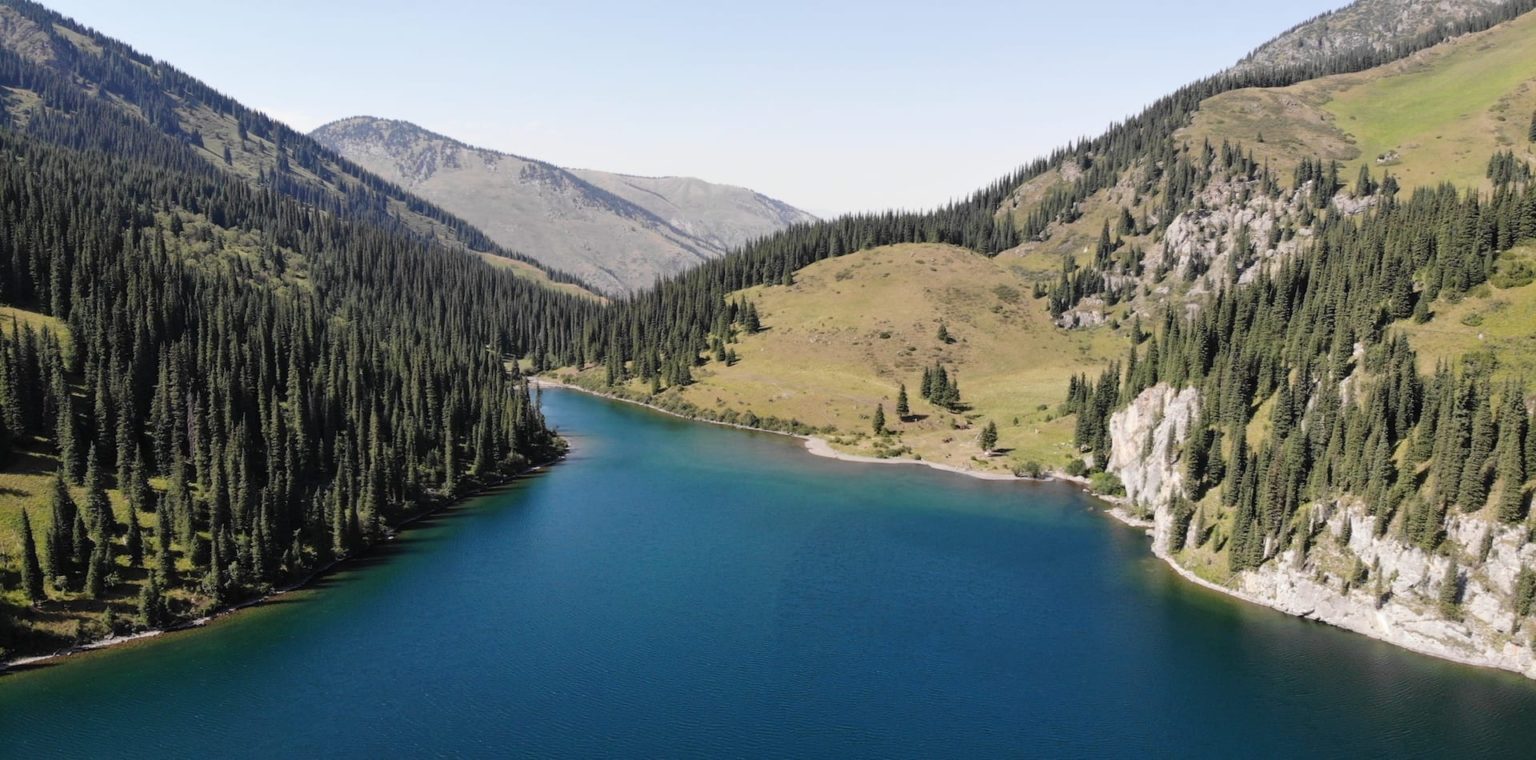 A serene lake surrounded by lush green hills and tall coniferous trees under a clear blue sky. The water reflects the greenery, creating a peaceful and picturesque landscape.