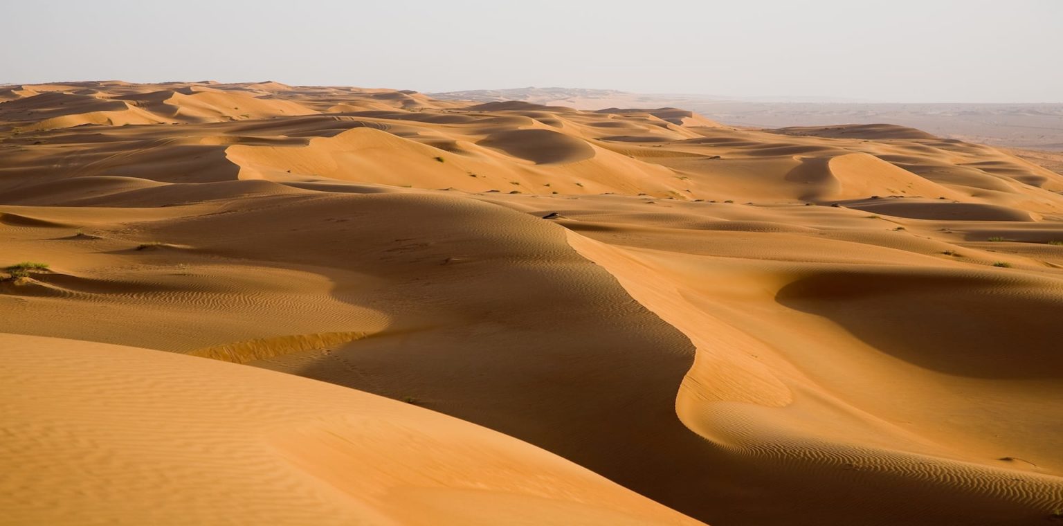 Golden sand dunes ripple across the landscape under a clear sky, creating a tranquil desert scene.