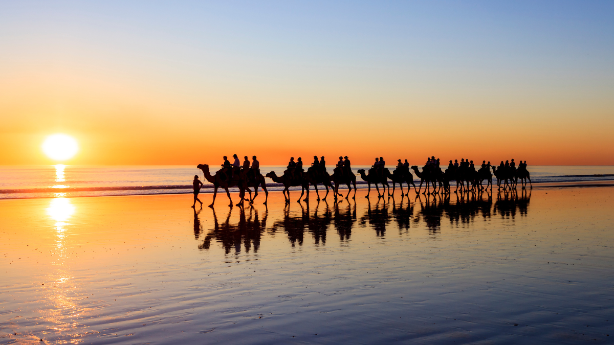 A line of camels with riders walks along a wet beach during sunset, casting reflections on the sandy surface. The horizon glows with warm hues of orange and gold.