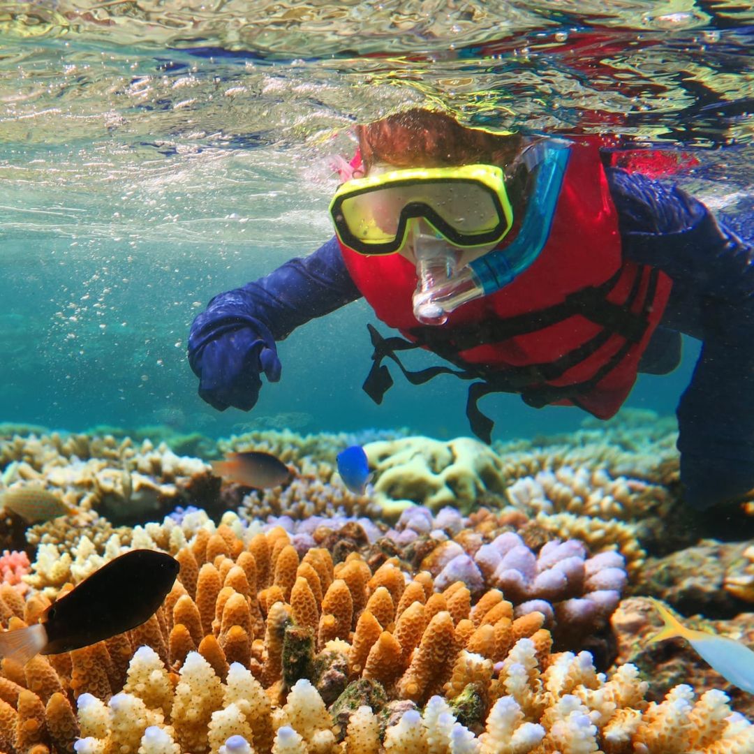 A snorkeler in a red life vest explores vibrant coral reefs underwater. Colorful fish swim among the corals while sunlight filters through the water's surface.