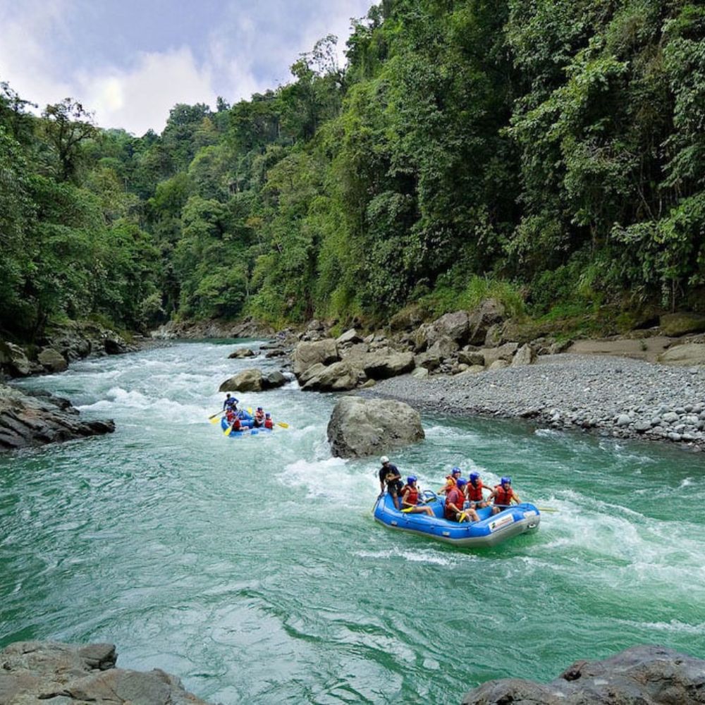 Two groups of people in inflatable rafts navigating a rapid river surrounded by lush green foliage and rocky banks.