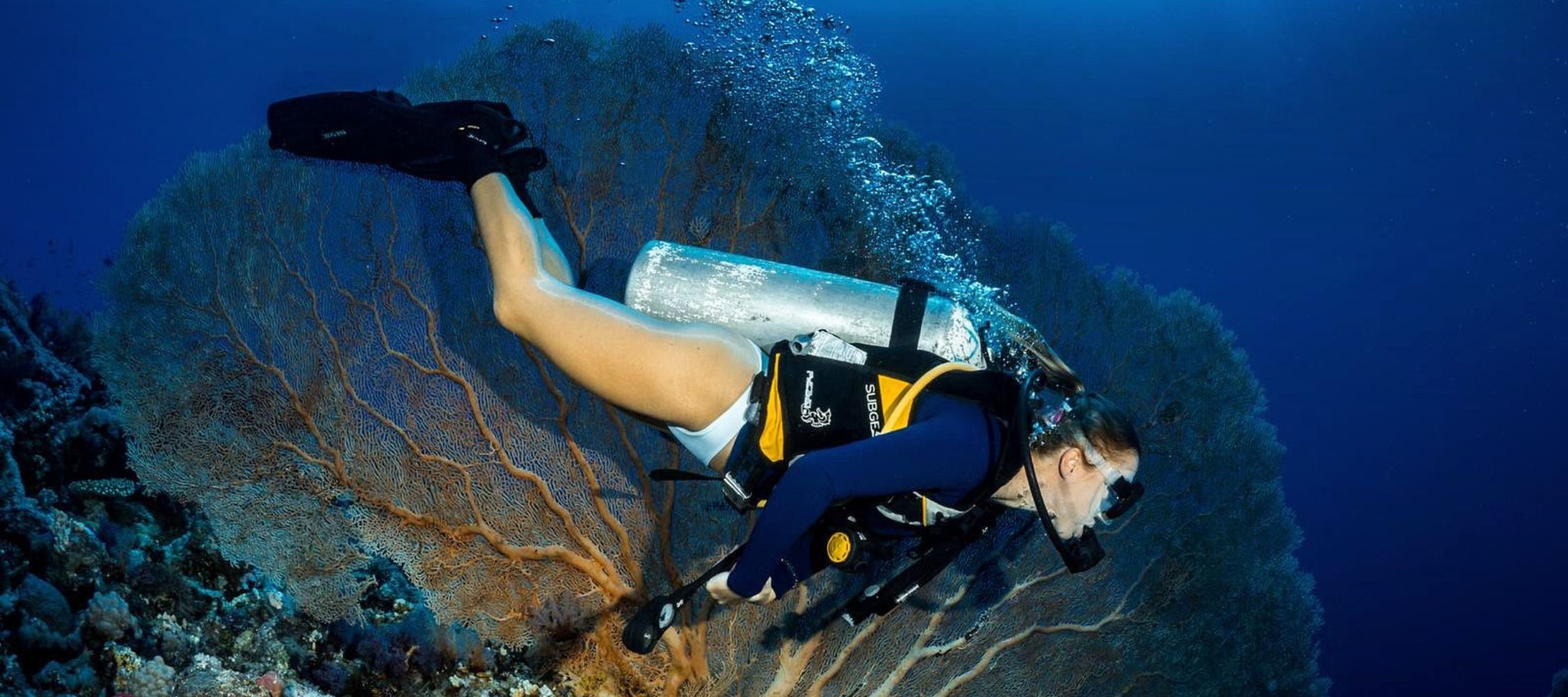 A diver exploring underwater, swimming near a large coral formation. The diver is equipped with a scuba tank and wearing a wetsuit and mask, surrounded by vibrant marine life and blue water.