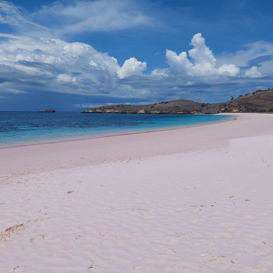 pink beach komodo island indonesia