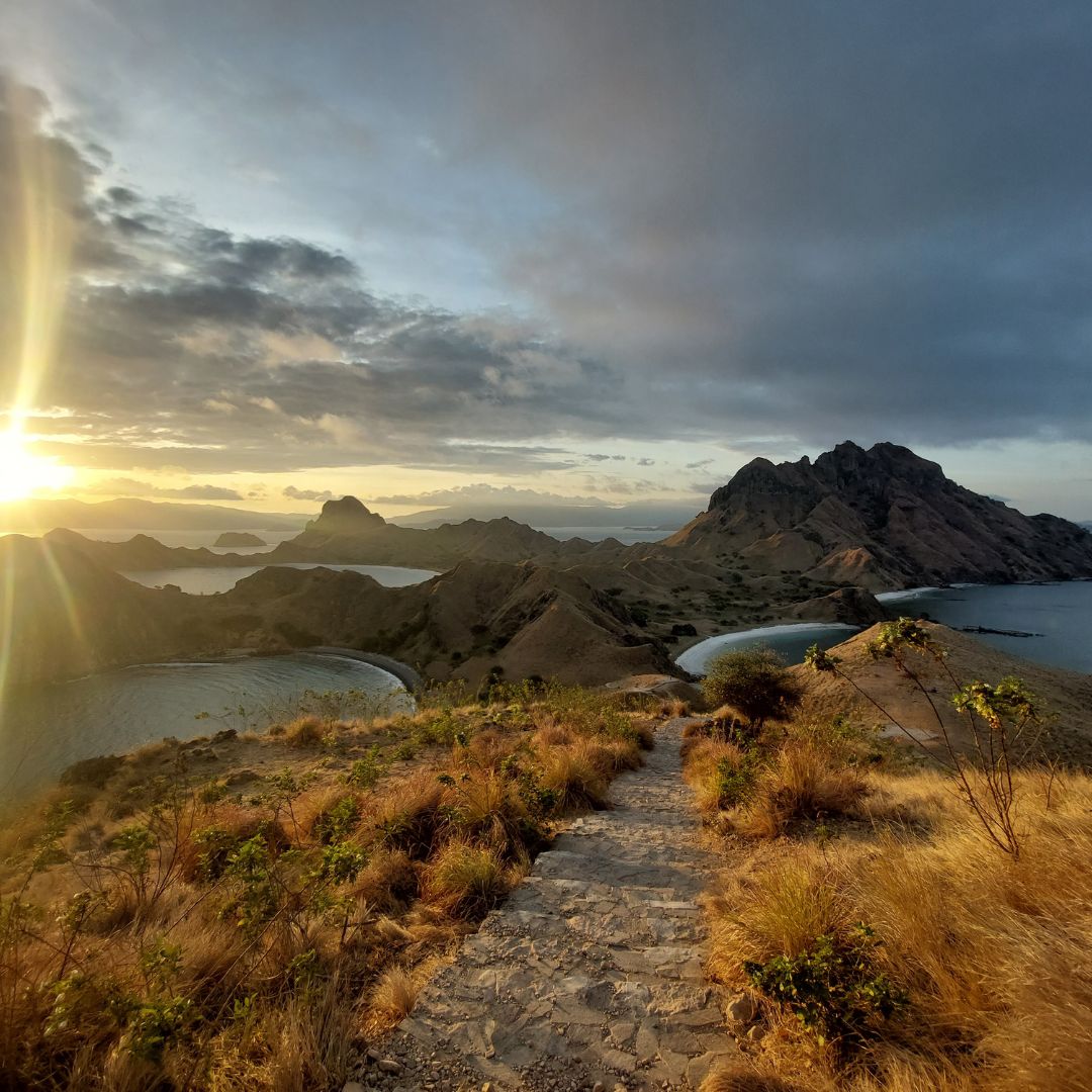 pink beach komodo national park indonesia