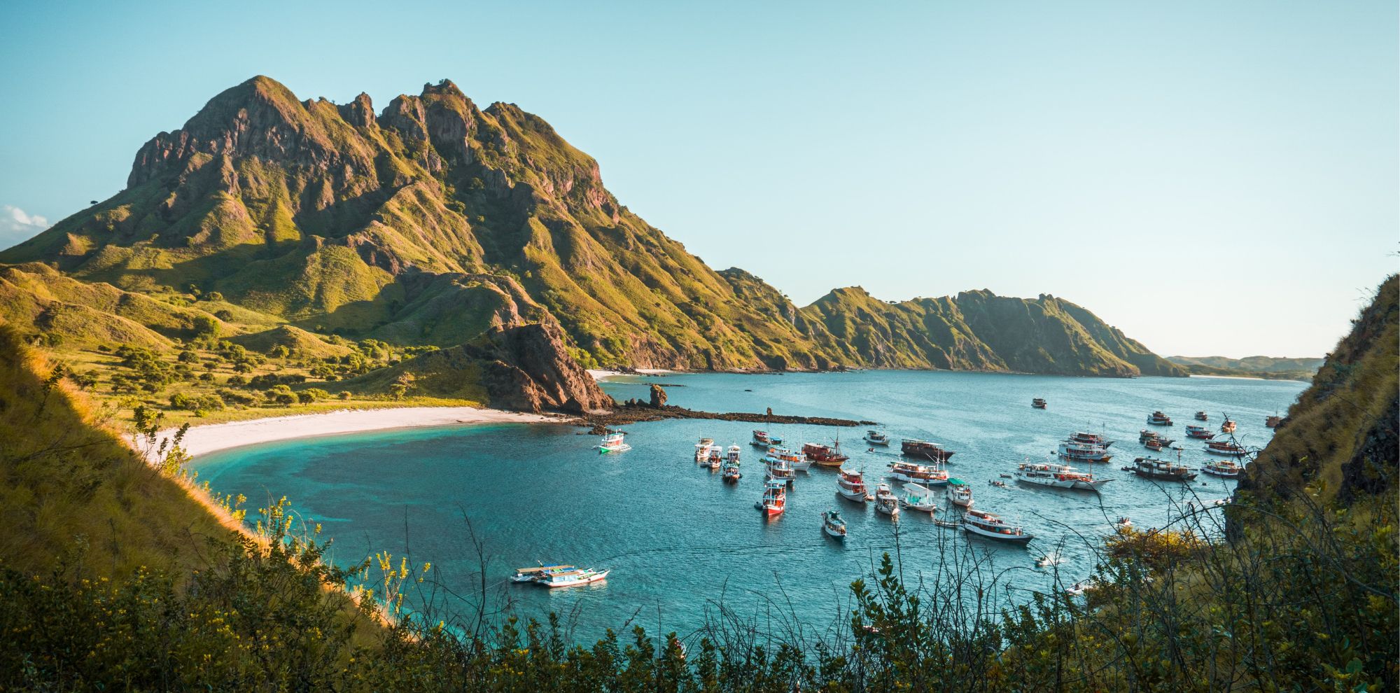 Komodo national park pink beach