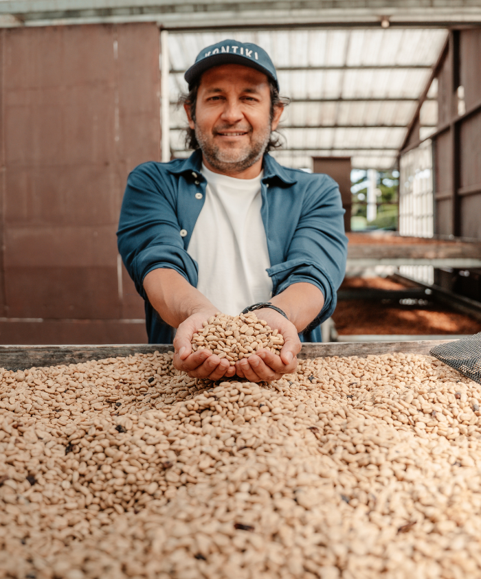 panama coffee beans