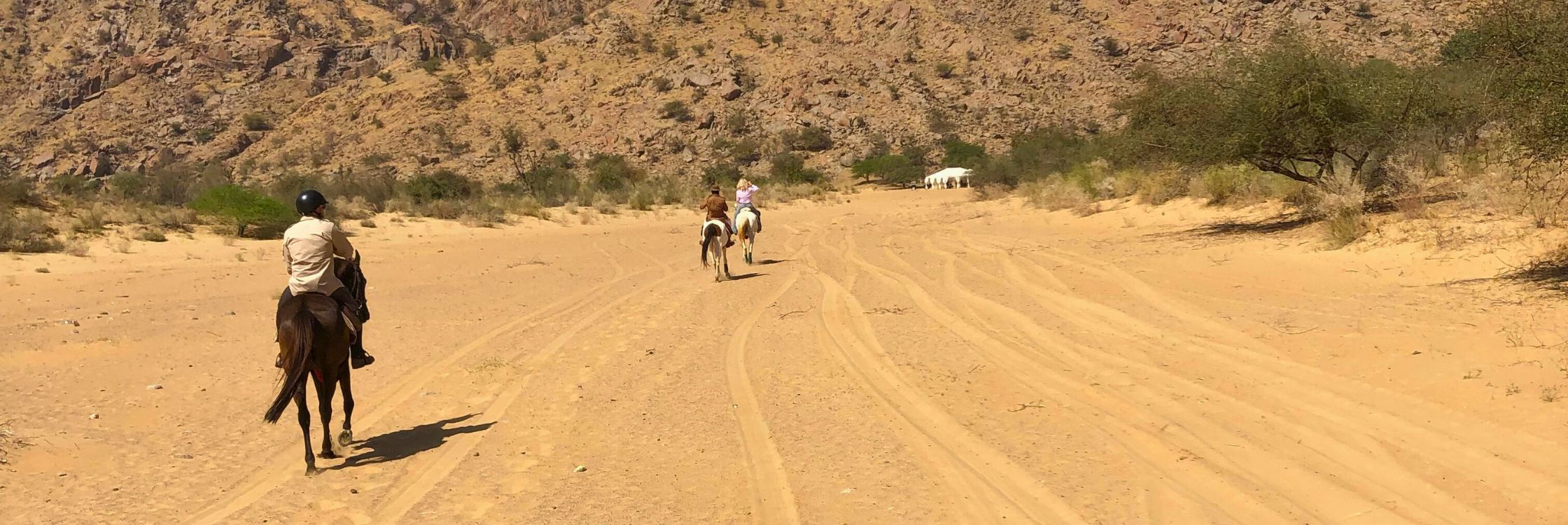 Jimmy Carroll on horseback through Rajasthan’s arid landscape