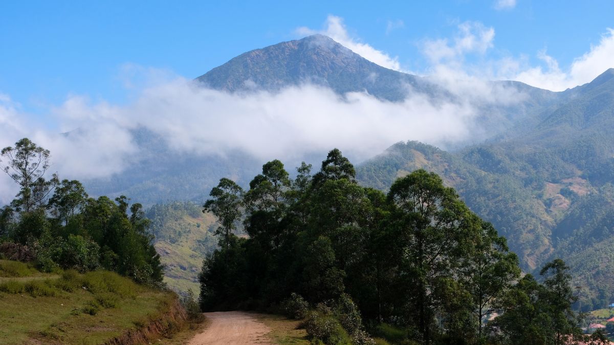 A scenic dirt path winds through lush greenery, leading toward a majestic mountain shrouded in clouds under a bright blue sky.