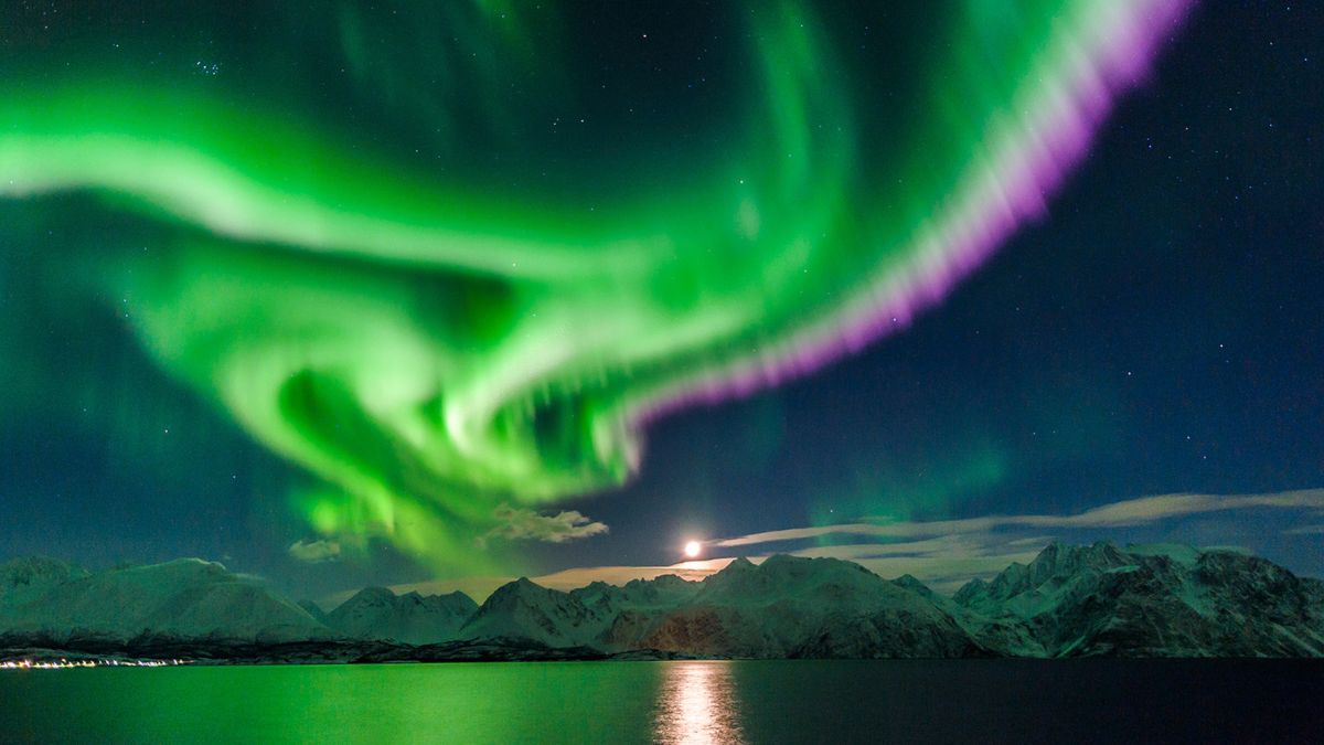 Vibrant auroras dance across a night sky, swirling in green and purple hues over a tranquil landscape with mountains and a moonlit lake.