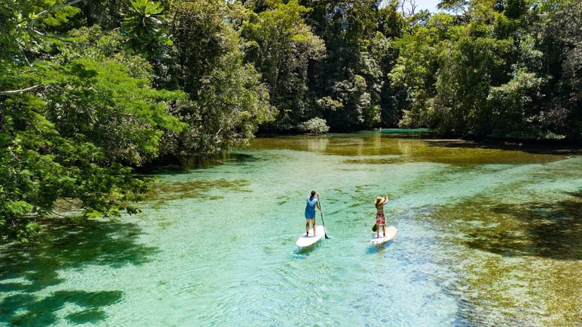 Paddle boarding in panama