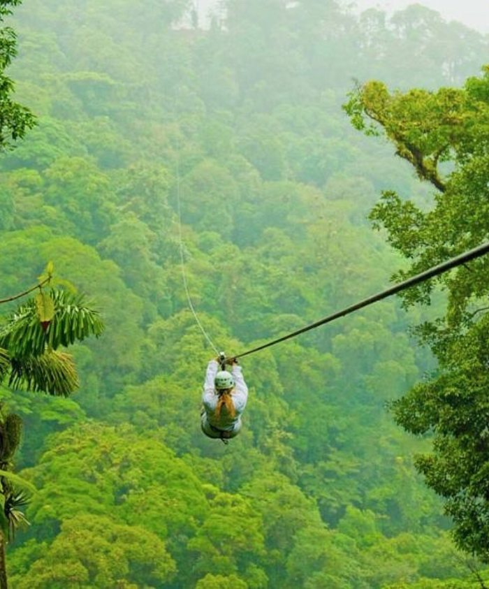 Panama zip line through the jungle