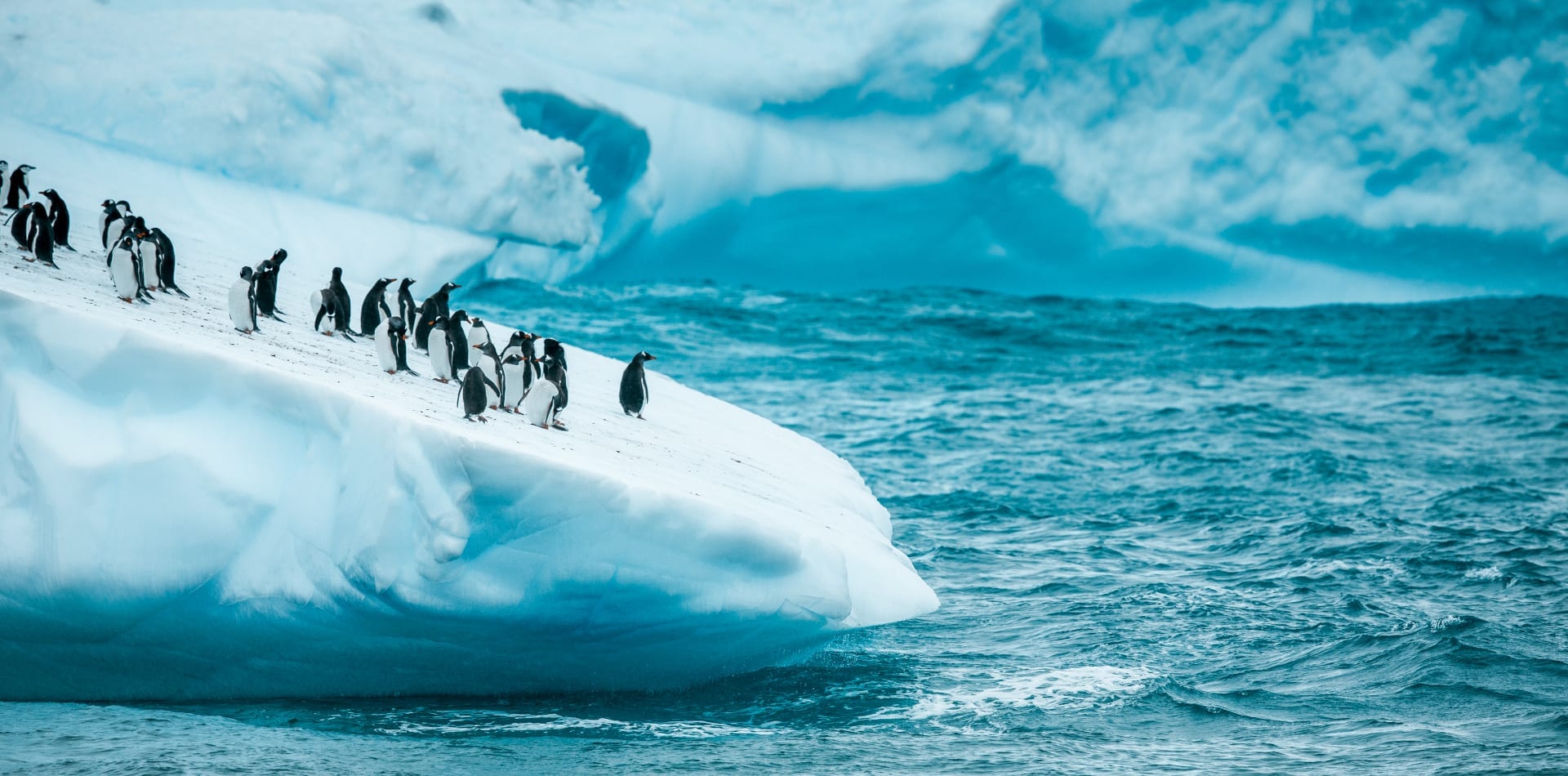 A colony of penguins stands on a large, blue-tinted iceberg surrounded by choppy dark ocean water.
