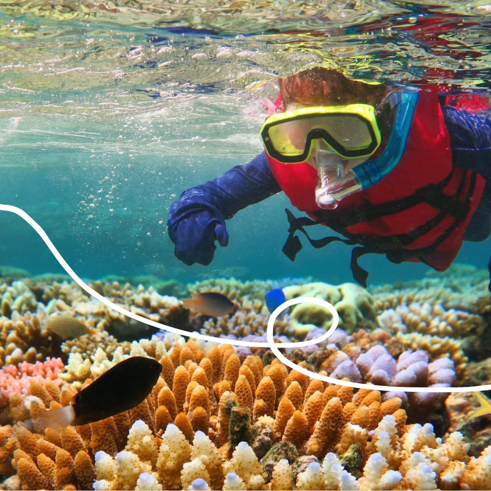 A person wearing a snorkel and bright red life jacket swims above vibrant coral reefs, interacting with fish in a clear blue ocean.