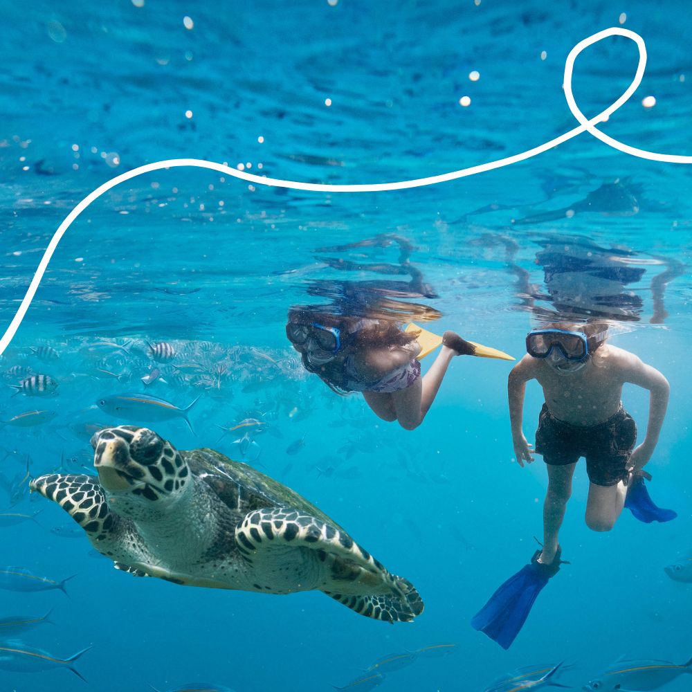 Two children snorkel underwater, observing a sea turtle gliding gracefully through the clear blue water, surrounded by small fish.