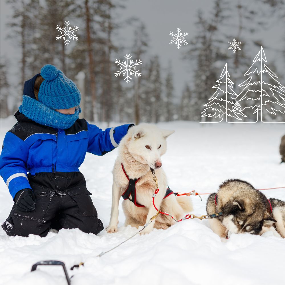 A child in a blue winter suit kneels in the snow, gently petting a white husky dog. Another husky lies down nearby. Snowflakes and holiday trees are illustrated in the background.