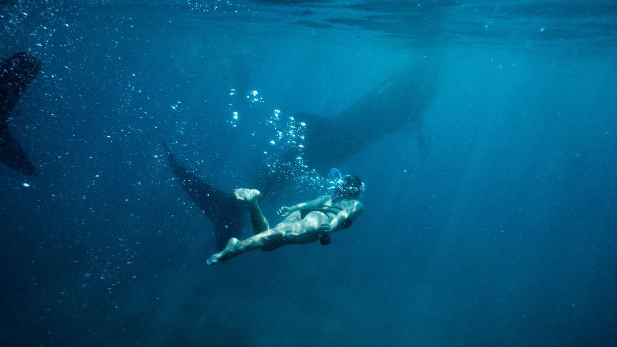 A swimmer in a blue ocean underwater, surrounded by bubbles, with two large manta rays gliding in the background. Sunlight filters through the water, creating a serene atmosphere.