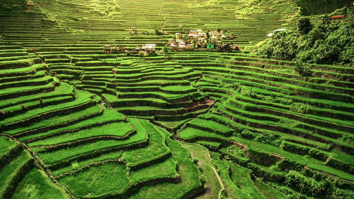 Lush green terraced rice fields cascading down a hillside, with a small village nestled among the terraces.