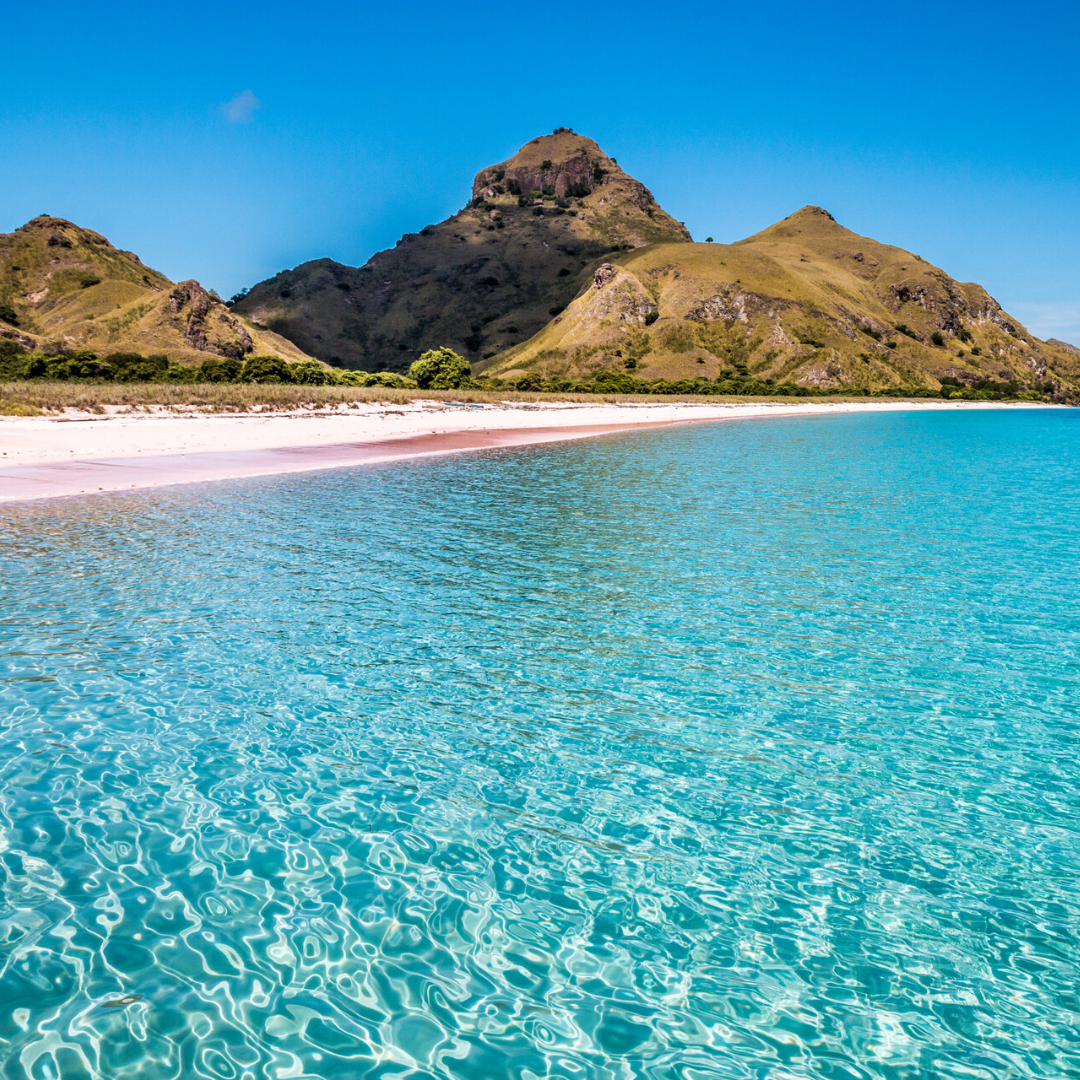 komodo island pink beach pink beach indonesia